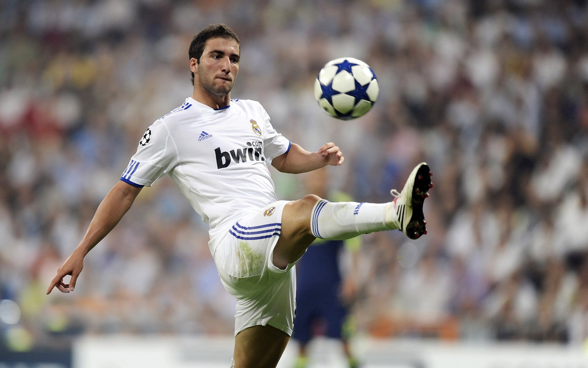 电竞培训机构获资本青睐,行业盈利能力上升,电竞培训机构行业的利弊